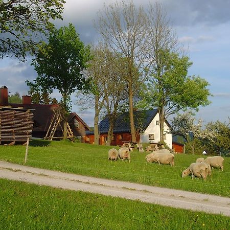 Na Zvonici Pensionat Paseky nad Jizerou Exteriör bild
